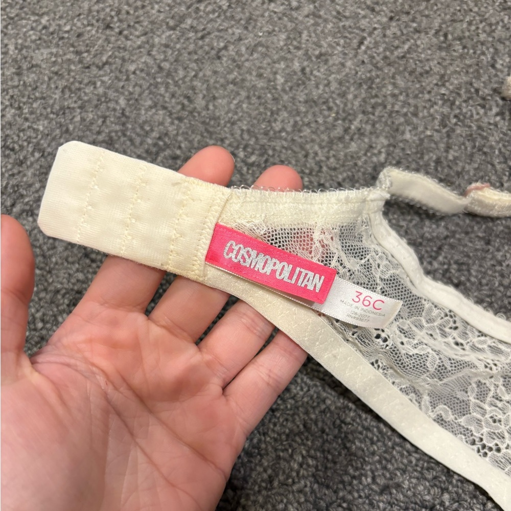 Cosmopolitan Lace Bra - Picture 3 of 3